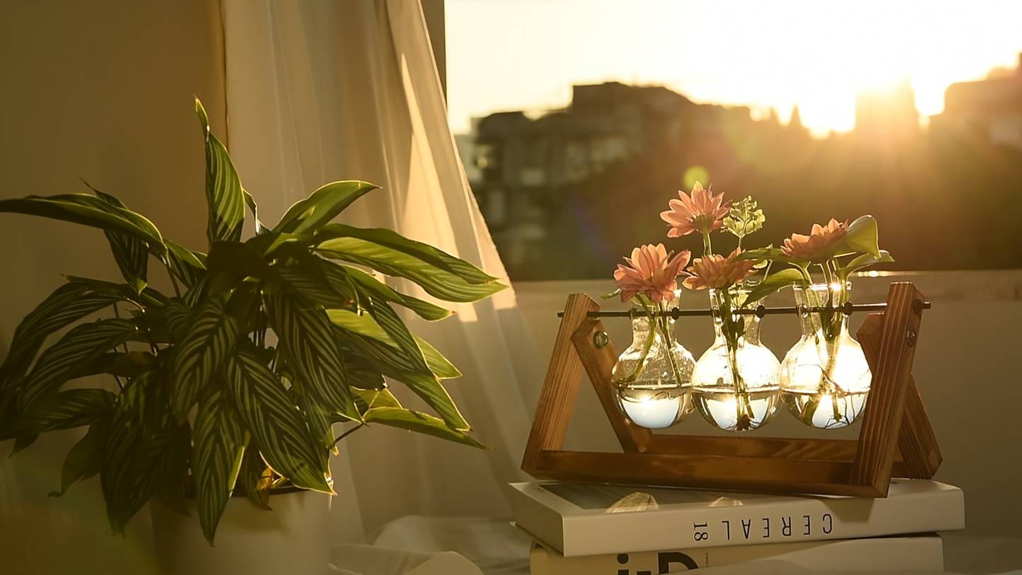 Plant Terrarium with Wooden Stand, Air Planter Bulb Glass Vase Metal Swivel Holder Retro Tabletop for Hydroponics Home Garden Office Decoration - 3 Bulb Vase